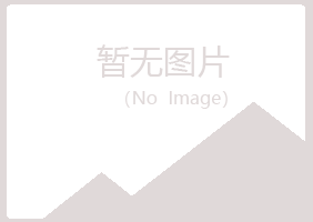 九台女孩采矿有限公司